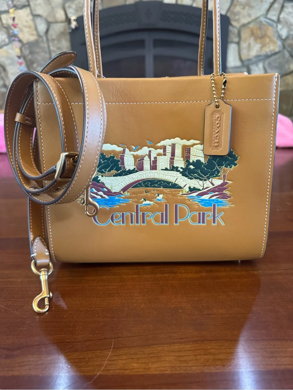 NWT Coach Glove-Tanned Leather Scenic Tote - Central Park Bridge & River. Rare - Picture 4 of 8